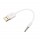 3.5 mm AUX garso kištukas su USB 2.0 